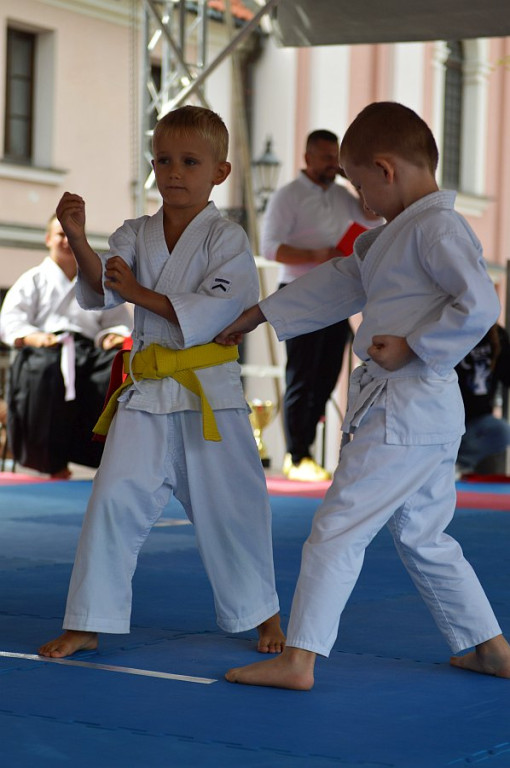 YOSAI CUP - Turniej Wojowników z Twierdzy Zamość!