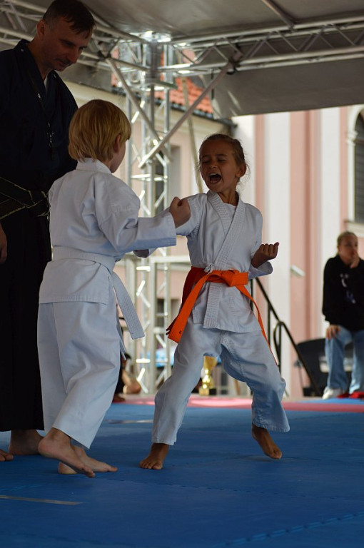 YOSAI CUP - Turniej Wojowników z Twierdzy Zamość!