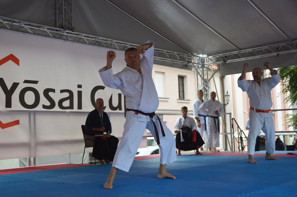 YOSAI CUP - Turniej Wojowników z Twierdzy Zamość!