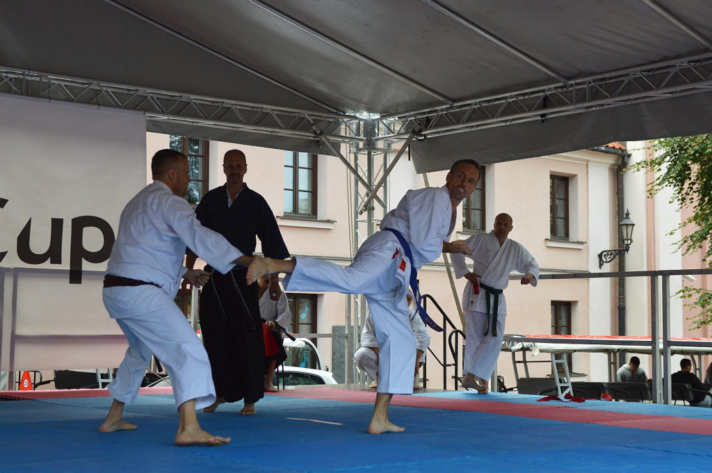 YOSAI CUP - Turniej Wojowników z Twierdzy Zamość!