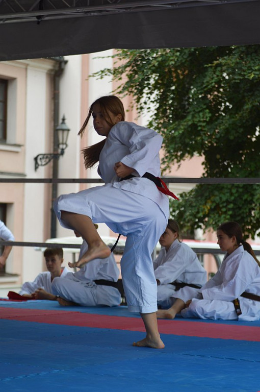 YOSAI CUP - Turniej Wojowników z Twierdzy Zamość!