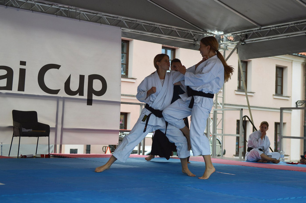 YOSAI CUP - Turniej Wojowników z Twierdzy Zamość!