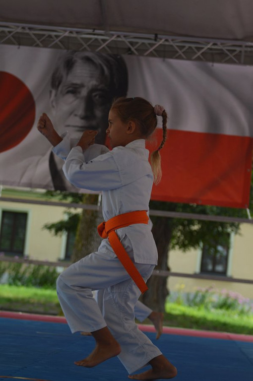 YOSAI CUP - Turniej Wojowników z Twierdzy Zamość!