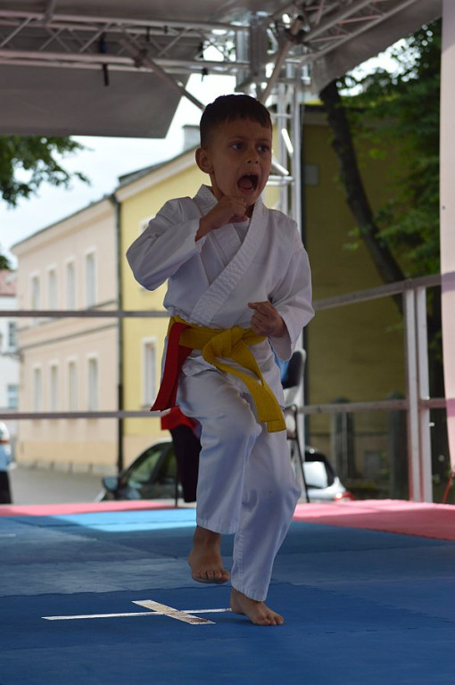 YOSAI CUP - Turniej Wojowników z Twierdzy Zamość!