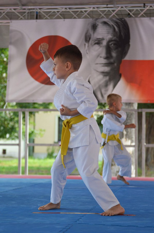 YOSAI CUP - Turniej Wojowników z Twierdzy Zamość!