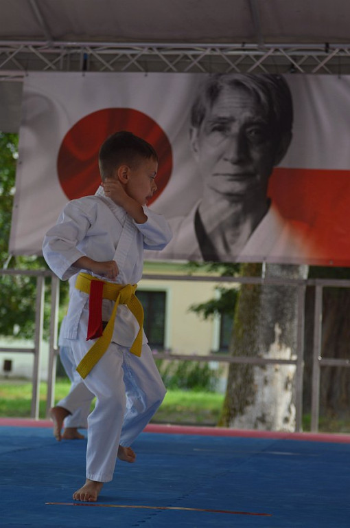 YOSAI CUP - Turniej Wojowników z Twierdzy Zamość!