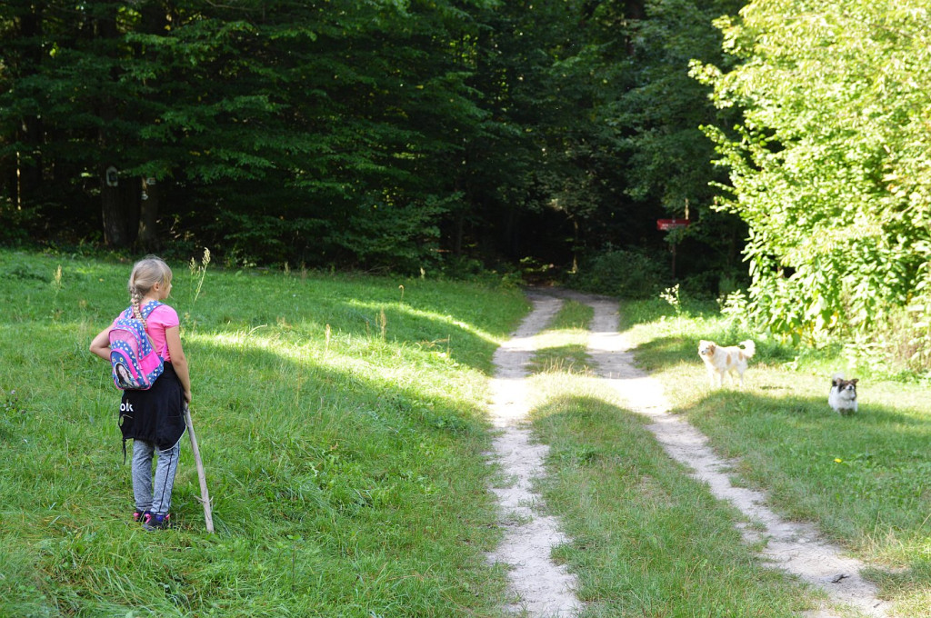 49 Rajd PTTK Miłośników Roztocza