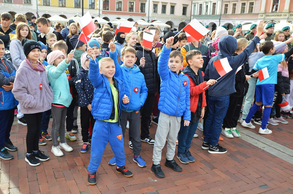 Biegi Listopadowe w Zamościu