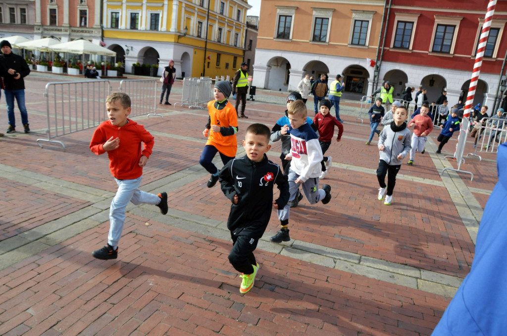 Biegi Listopadowe w Zamościu