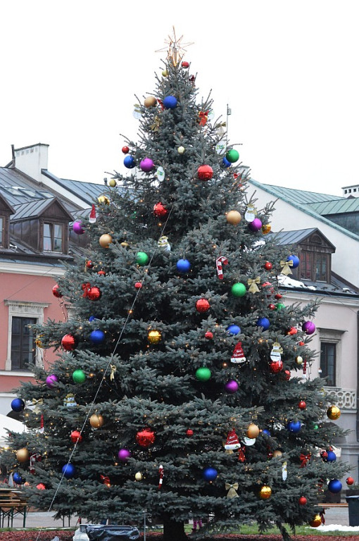 Zamojskie Kolędowanie