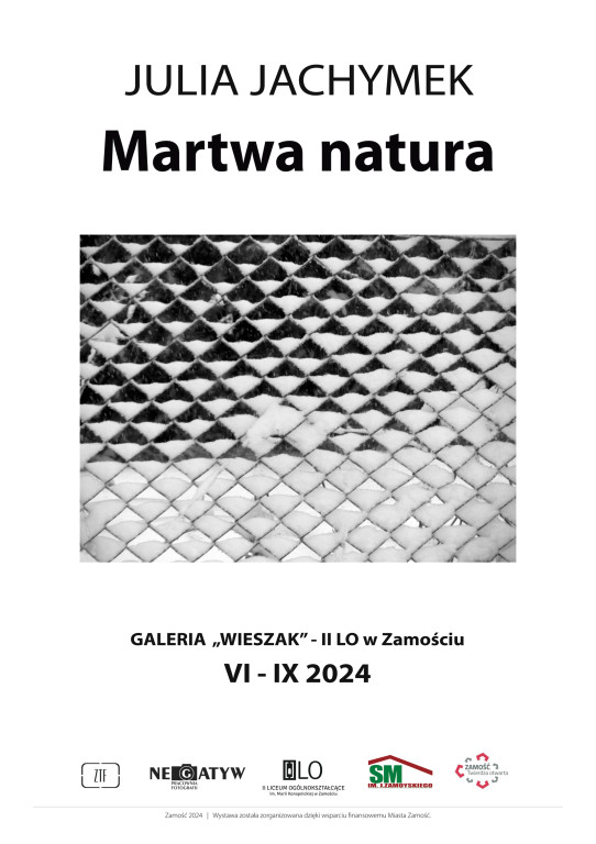 Julia Jachymek, Martwa natura