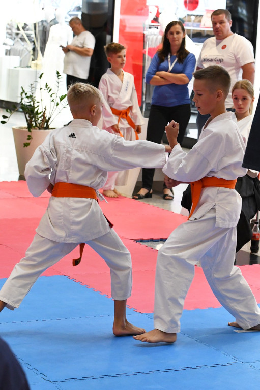 Turniej karate Yosai 2024