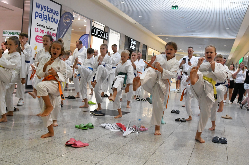 Turniej karate Yosai 2024