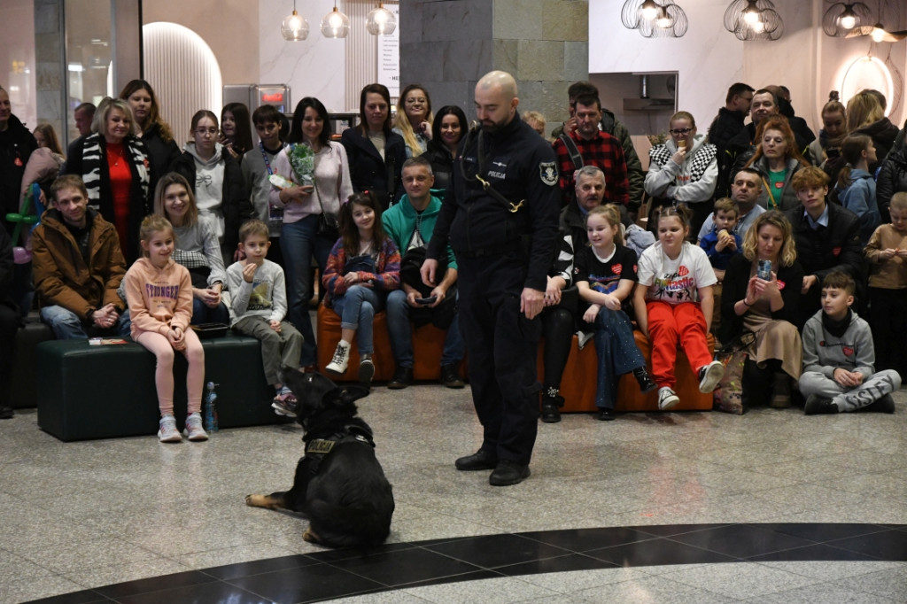 33. Finał WOŚP w Zamościu