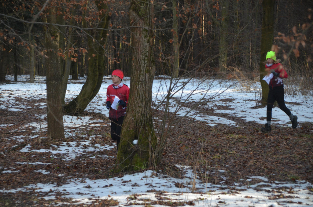 Puchar Roztoczańskich Wąwozów