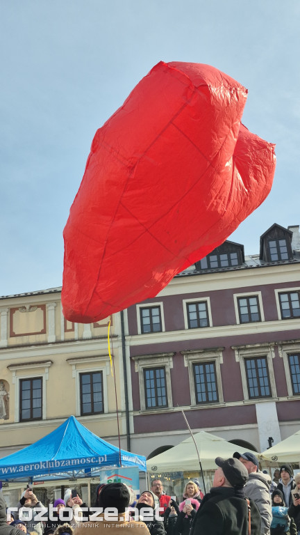 XXII Regionalne Zawody Modeli Balonów w Zamościu