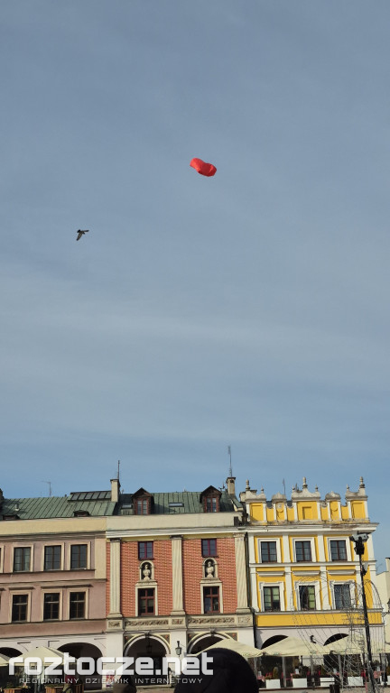 XXII Regionalne Zawody Modeli Balonów w Zamościu