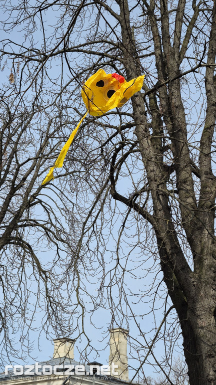 XXII Regionalne Zawody Modeli Balonów w Zamościu