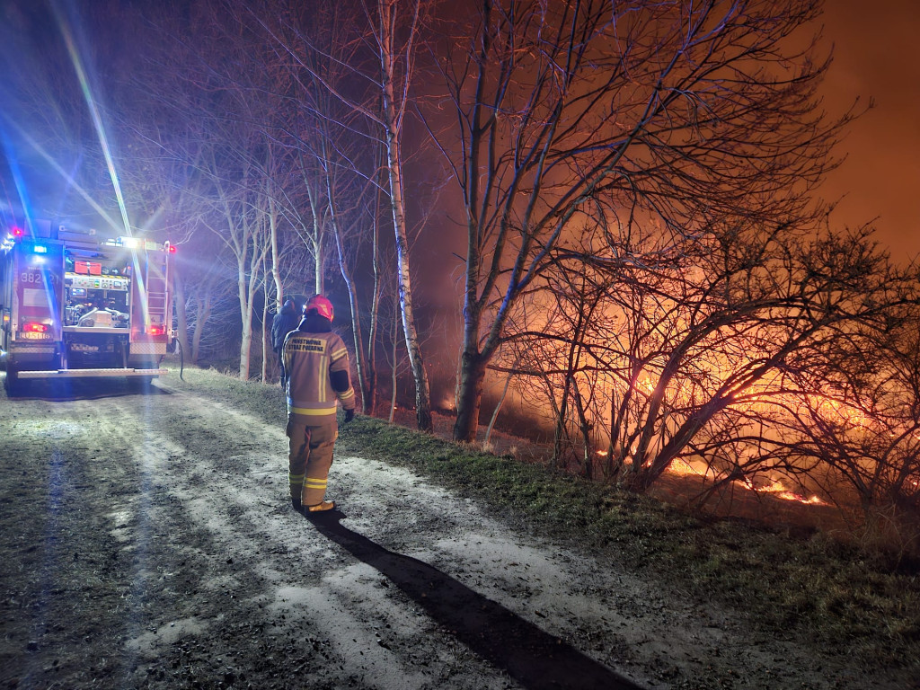 STOP pożarom traw. Apelują zamojscy strażacy