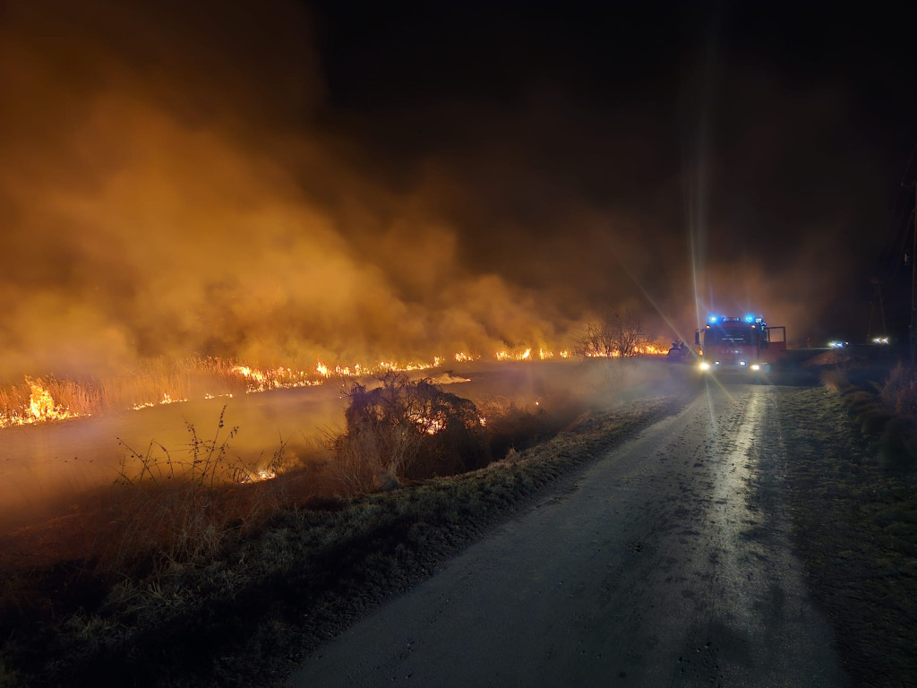 STOP pożarom traw. Apelują zamojscy strażacy