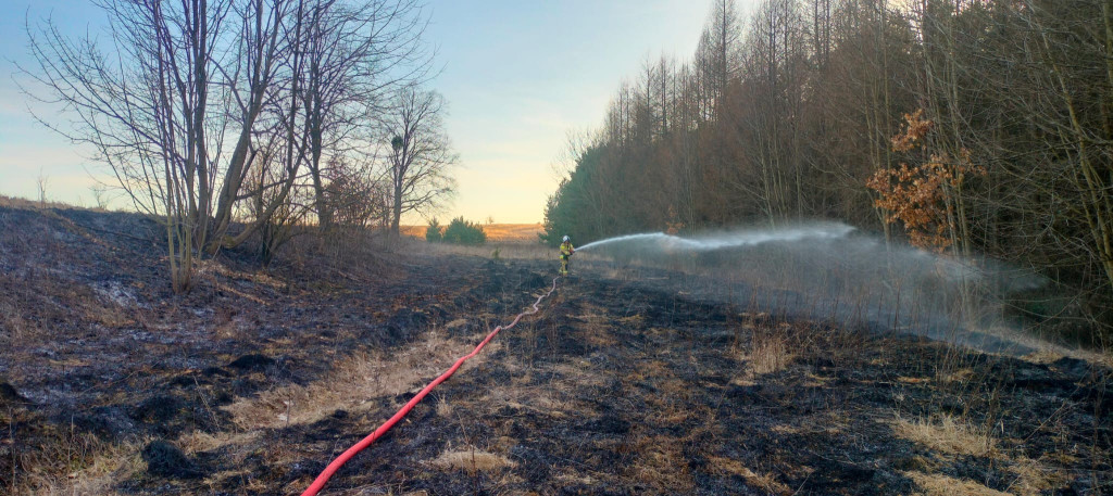 STOP pożarom traw. Apelują zamojscy strażacy