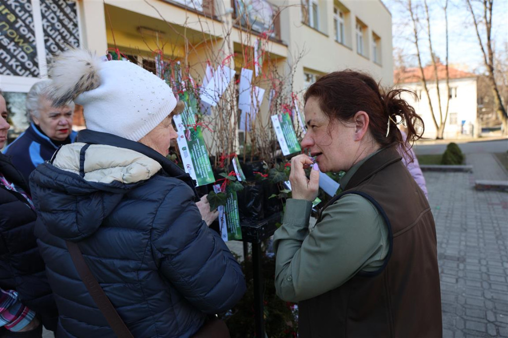 Mieszkańcy Tomaszowa Lubelskiego przywitali wiosnę