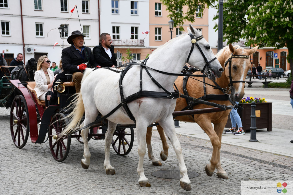 II Majowa Parada Zaprzęgów i Jeźdźców - Krasnystaw 2025