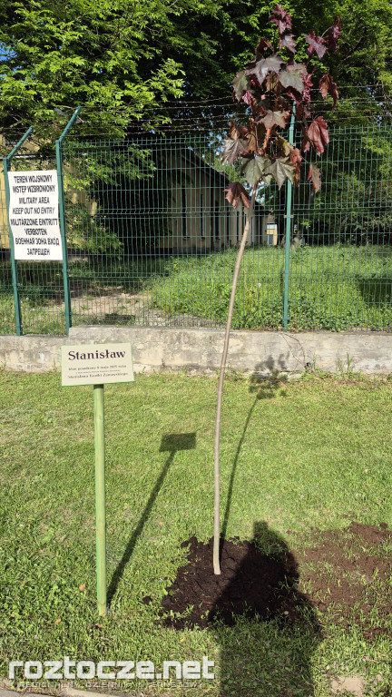 Imieniny patrona Książnicy Zamojskiej