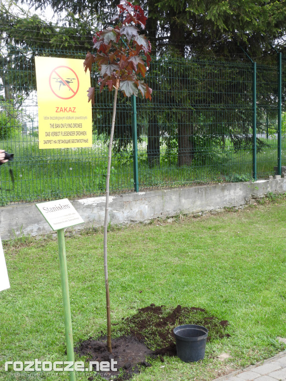 Imieniny patrona Książnicy Zamojskiej