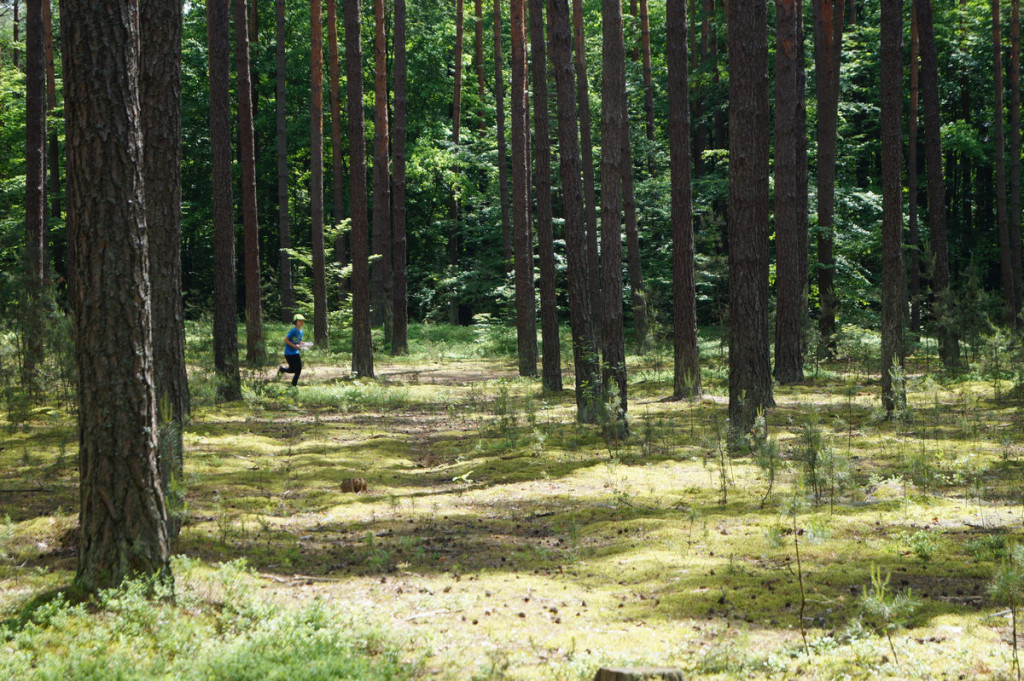 Lubelskie w Średniodystansowym Biegu na Orientację