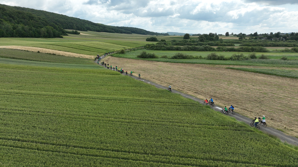 Rajd rowerowy w Nadleśnictwie Krasnystaw