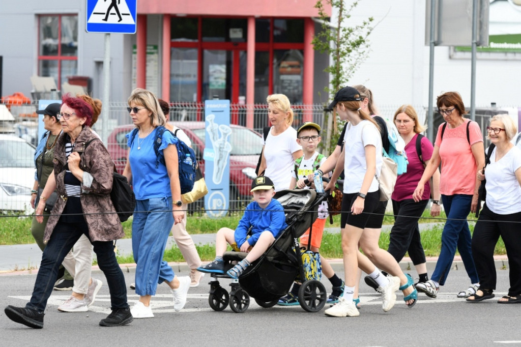Pielgrzymka zamojska 2025