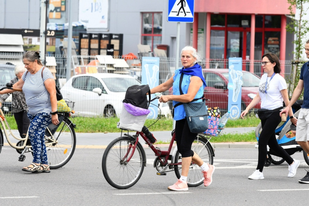 Pielgrzymka zamojska 2025