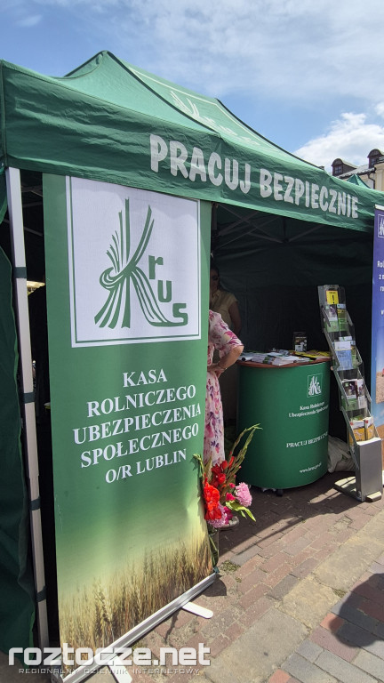 Zamojska Chłopomania na Rynku Wielkim