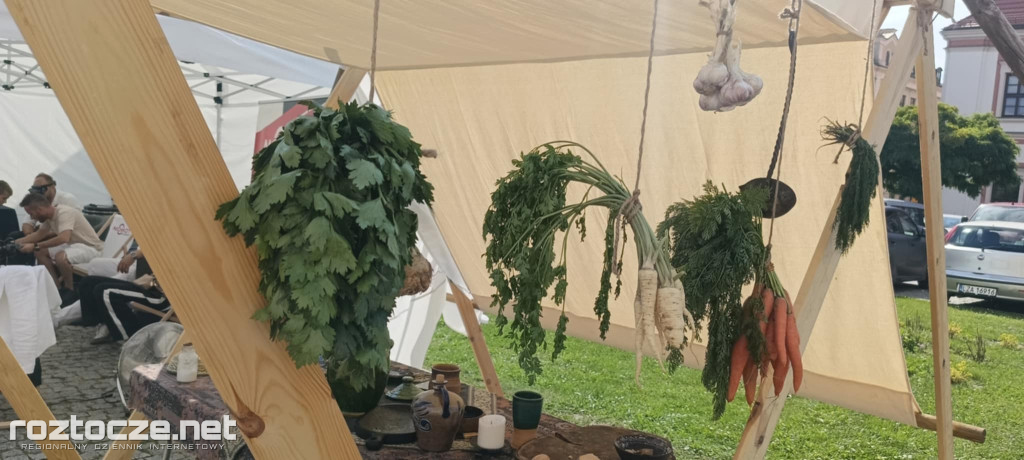 Zamojska Chłopomania na Rynku Wielkim