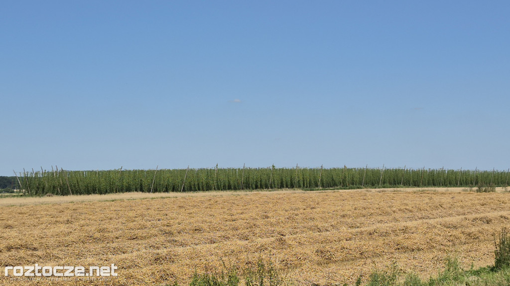 13. Gminny Rajd Rowerowy Doliną Górnej Łabuńki