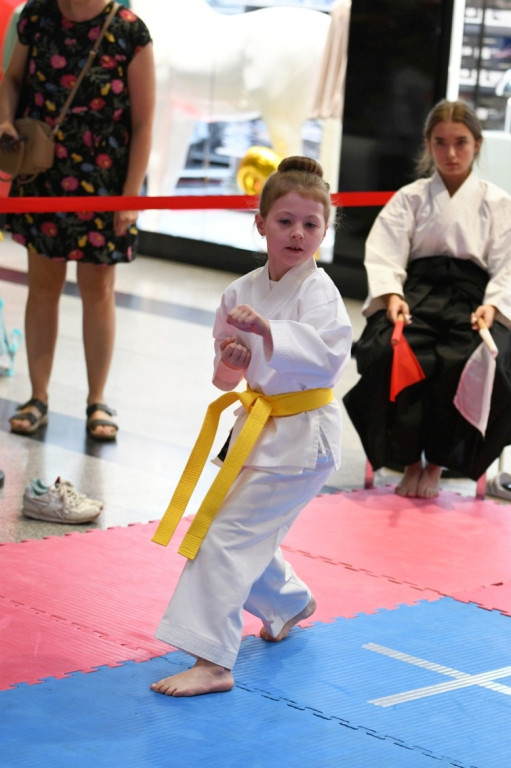 3. Yosai Cup Zamość 2025