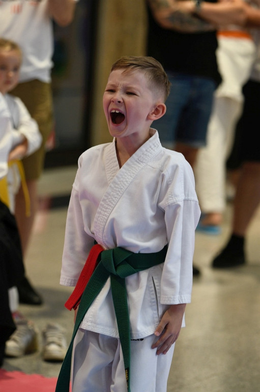3. Yosai Cup Zamość 2025