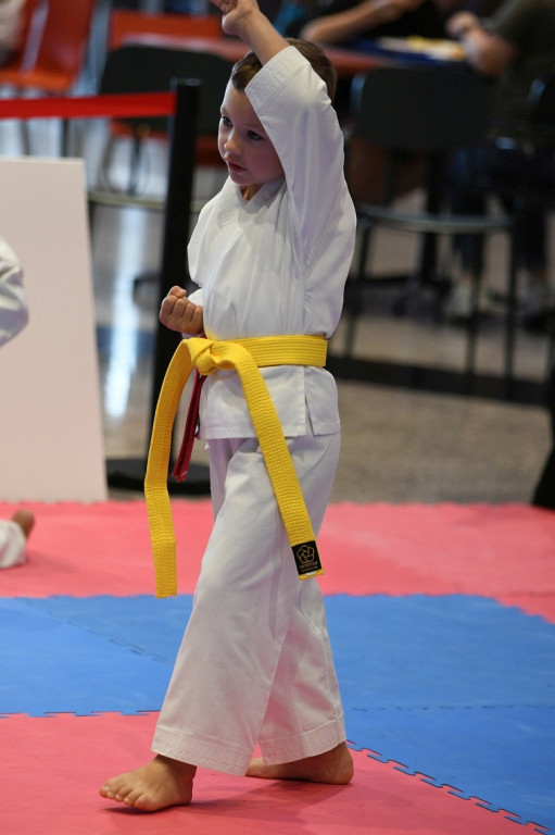 3. Yosai Cup Zamość 2025