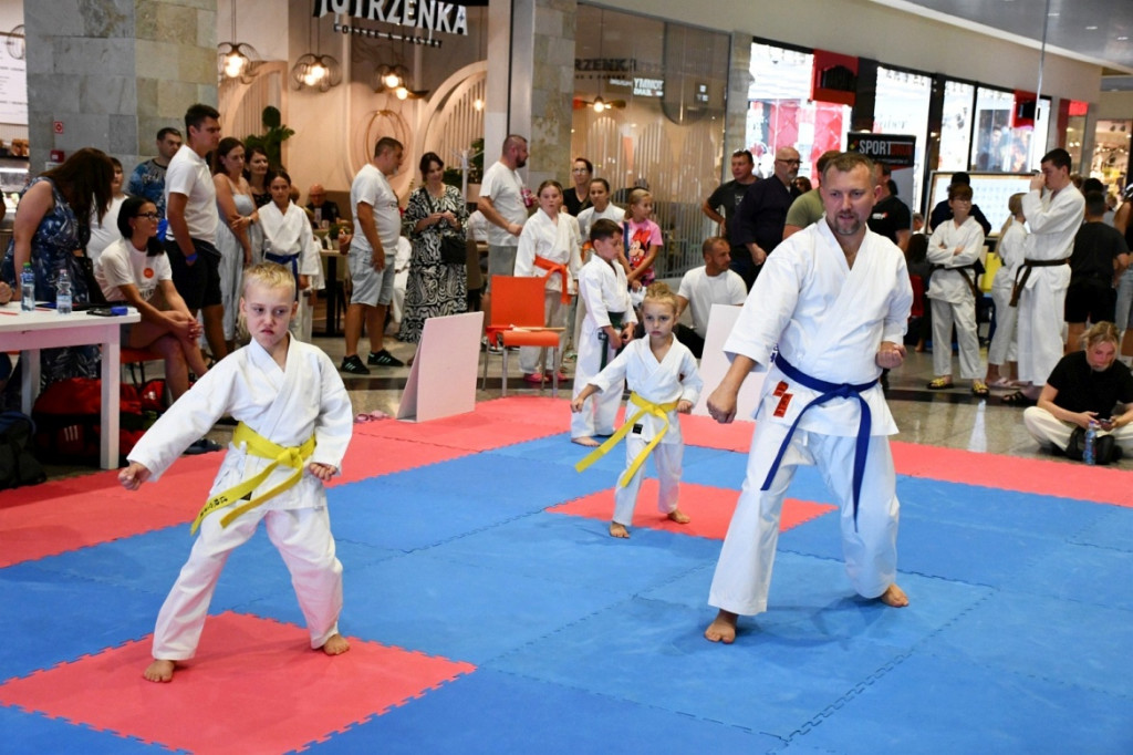 3. Yosai Cup Zamość 2025