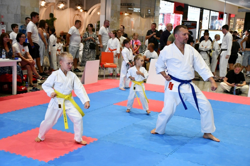 3. Yosai Cup Zamość 2025