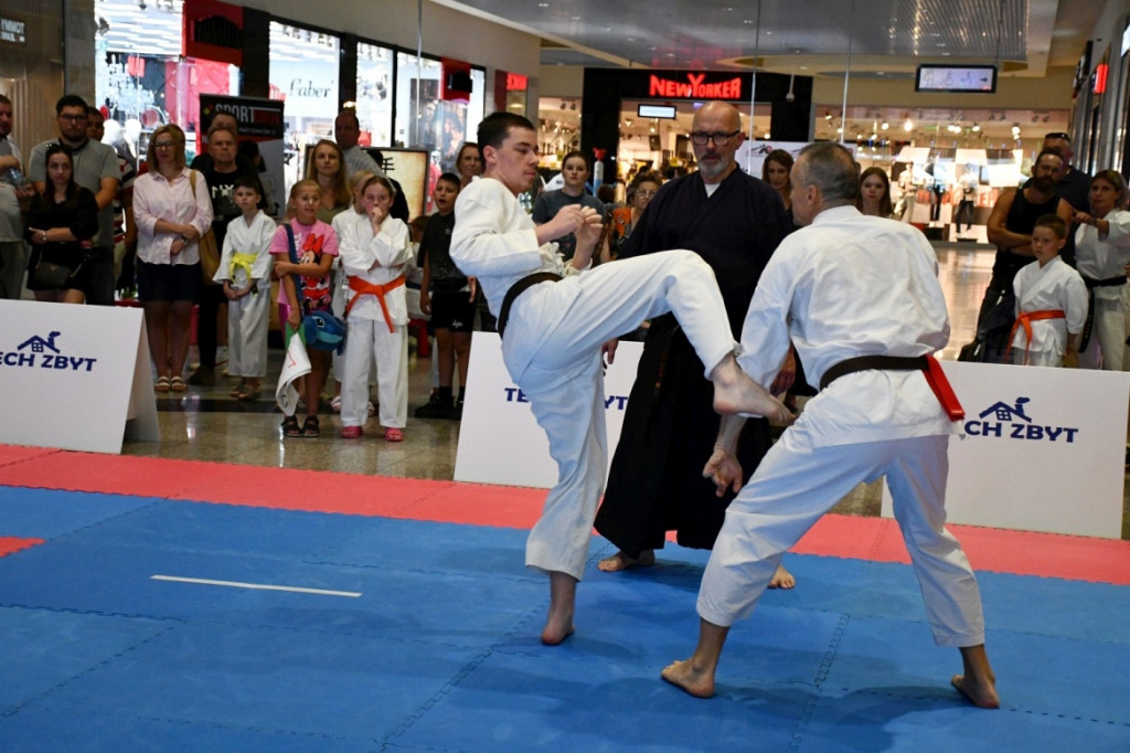 3. Yosai Cup Zamość 2025