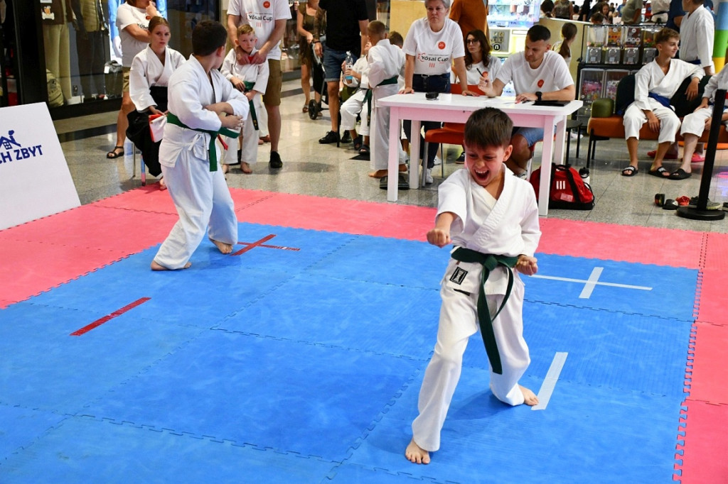 3. Yosai Cup Zamość 2025
