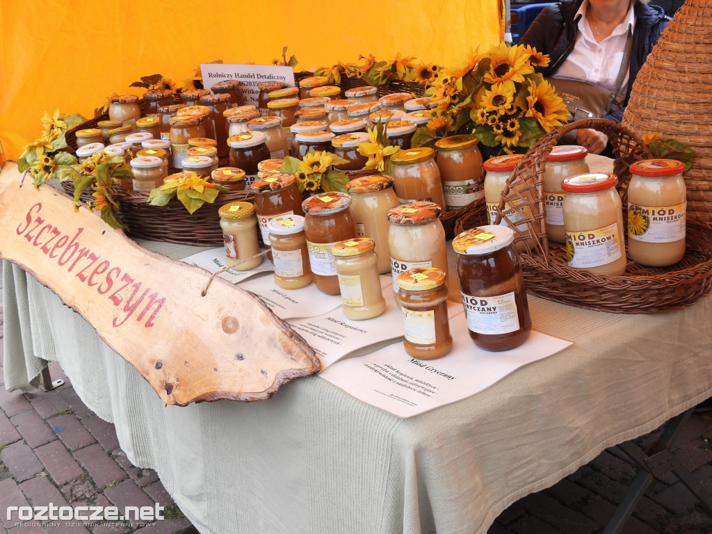 Festiwal Żywności Wolnej od GMO w Zamościu