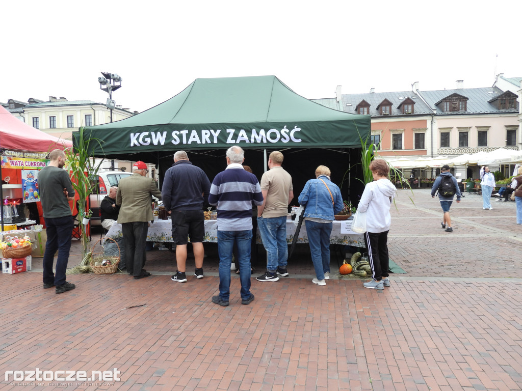 Festiwal Żywności Wolnej od GMO w Zamościu