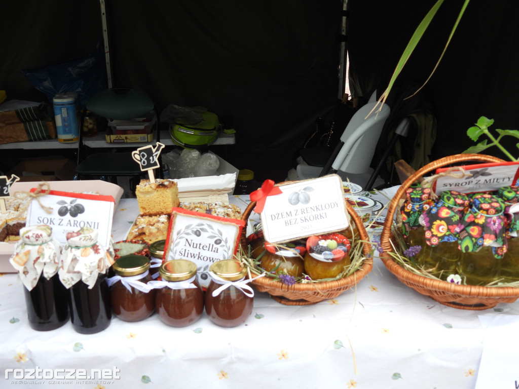 Festiwal Żywności Wolnej od GMO w Zamościu