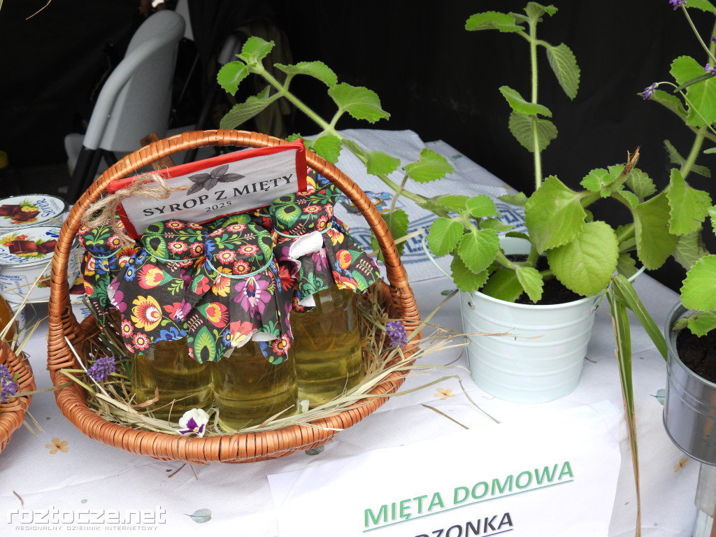 Festiwal Żywności Wolnej od GMO w Zamościu