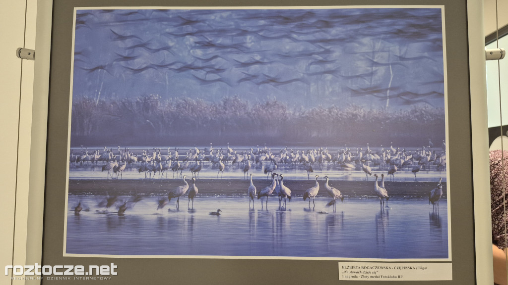 XI Zamojski Przegląd Fotografii