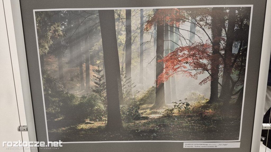 XI Zamojski Przegląd Fotografii