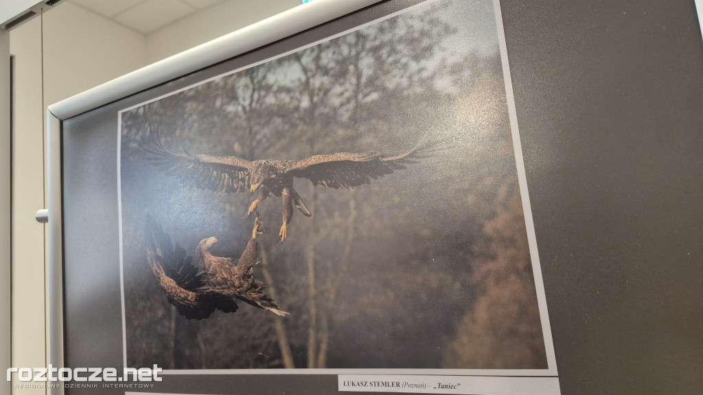XI Zamojski Przegląd Fotografii